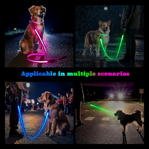 1,2 m LED Hundeleine, Leuchtende Hundeleine mit 7 Leuchtmodi, Reflektierend, Glow in The Dark, Beidseitig Leuchtend, USB Wiederaufladbar, Gepolsterter Griff, Nachtsicherheit für Kleine & Große Hunde