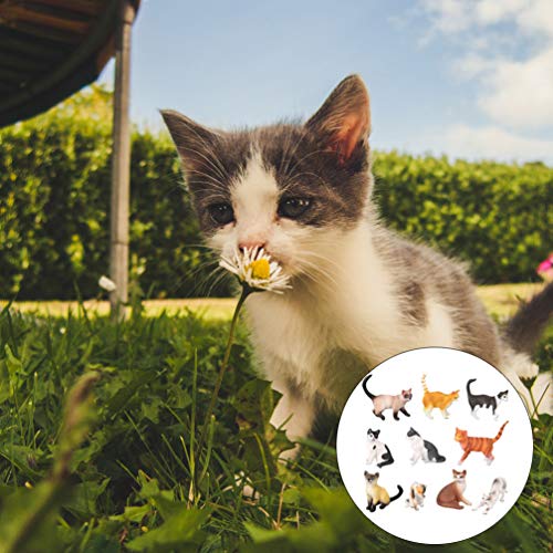 Toyvian 1 Conjunto Brinquedo Modelo de Gato Educacional Simulado AdorÃ¡vel Modelo de Gato Real Adorn