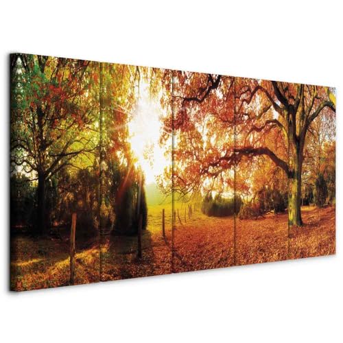 B&D XXL - Akustikbild Wald 5 tlg Bilder Akustikschaum Schallschutz Wand Deko Akustikpaneele Wandpaneele Schalldämmung Wandbild Schallabsorber Akustikplatten Waldlandschaft Natur Baum c-B-0287-b-m