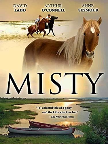 Misty Classic Horse Adventure