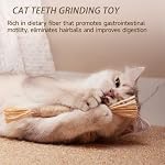 UBIETY Natural Silvervine Dental Sticks, silvervine Sticks for Cats，Natural Cat Chew Stick, Interactive Kitten Chew Playthings, for Indoor Kitty Nip Teeth Cleaning Dental Care Biting (10PCS) - Image 3