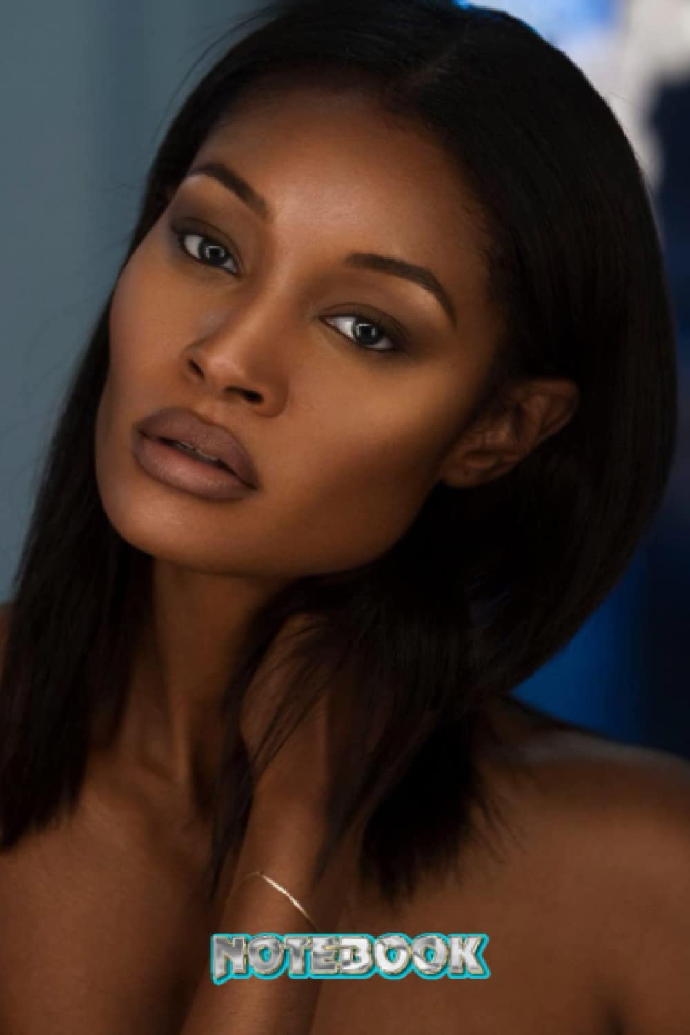 NOTEBOOK : Dani Evans Notebook 105 pages , 6x9inch Weekly Planner Notebook Gift Ideas - Thankgiving Notebook #454