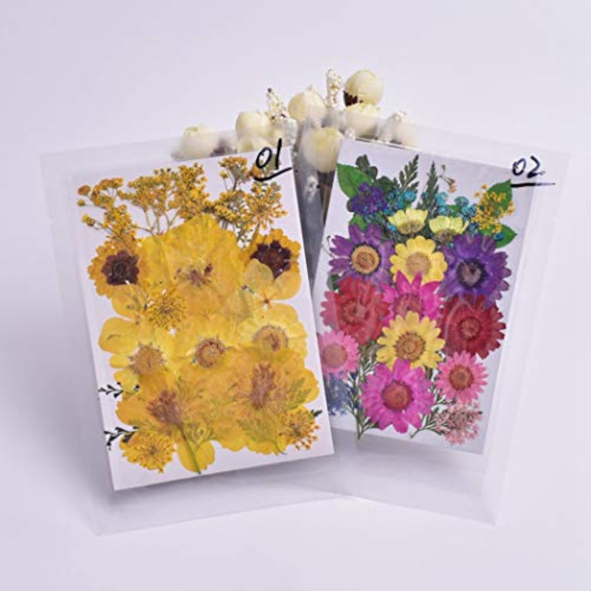 Dried Pressed Flowers Assorted Craft Supplies