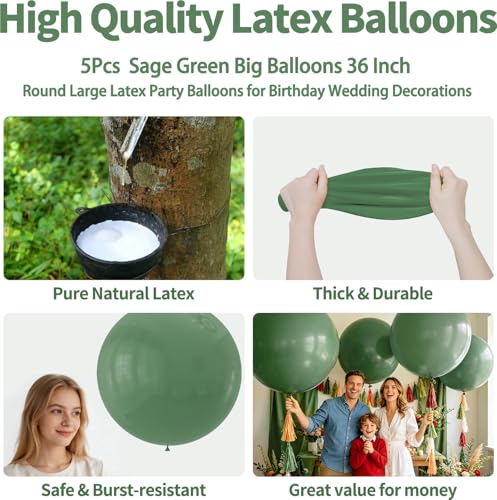 Image of 5Pcs Sage Green Big Balloons 36 Inch, Round Large Latex Party Balloons for Birthday Wedding Decorations