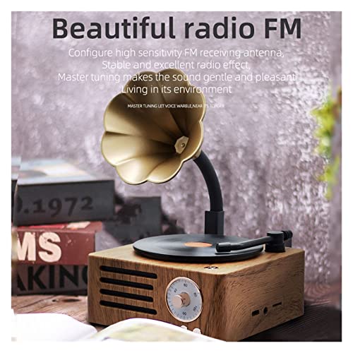 Tourne-Disque Vinyle Radio rétro Portable Mini Radio FM Haut-Parleur Bluetooth boîte à Musique MP3 Tourne-Disque Vintage avec Prise en Charge du Microphone TFCard/AUX Play - Les Beatles, Paul McCartney, John Lennon, RIngo Starr, George Harrison Tourne-Disque Vinyle Radio rétro Portable Mini Radio FM Haut-Parleur Bluetooth boîte à Musique MP3 Tourne-Disque Vintage avec Prise en Charge du Microphone TFCard/AUX Play – Image 5