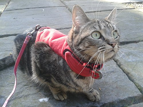 Mynwood Cat Jacket/Harness Red Fleece Kitten Up To 8Month #TOP6