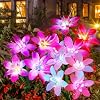 Aukora Solar Garden Lights Outdoor 5 Pack 5 Colors Lily Flowers 7 Color Changing Solar Lights for Outside Solar Outdoor Lights Waterproof for Garden Patio Yard Decor Red Yellow Blue White Purple