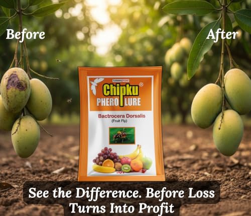 Image of Chipku Fruit Fly Lure Pack of 10 Insect Traps for Agriculture | Bactrocera Dorsalis Pheromone Attractant for Mango, Papaya, Guava, Chiku, Citrus & Other Fruit Crops