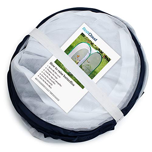image for RESTCLOUD 36