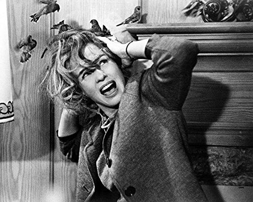 Generic Tippi Hedren 24X36 Classic Hollywood Poster Being Attacked By