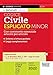 Codice civile esplicato. Con commento essenziale articolo per articolo e schemi a lettura guidata. Leggi complementari