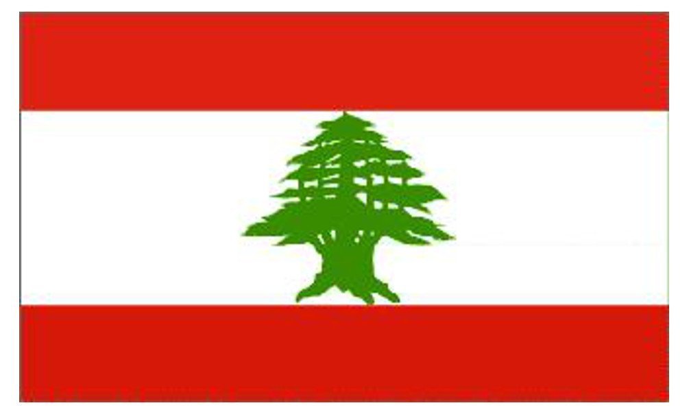 Flagtex Lebanon Flag 5ft x 3ft National Flag Red White Red Horizontal Stripes Green Cedar Tree Premium Quality Polyester Double Stitched Brass Grommets 150cm x 90cm Indoor Outdoor Banner Display