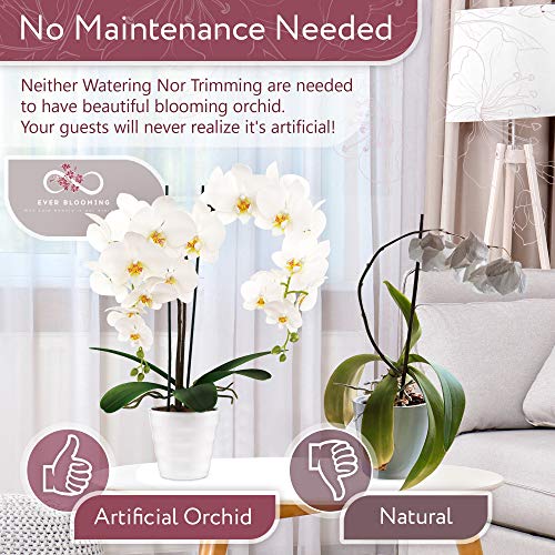 image for EVER BLOOMING Artificial Orchid Flowers Fake Potted Plants - Indoor Fa