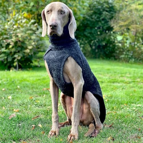 EDEL&SCHNELL Hundemantel wasserdicht, Woll-Wintermantel für Ridgebacks, Dalmatiner, Weimaraner und andere schlanke Rassen, Hunde Wintermantel Größe 70-75