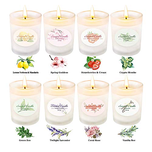 Scented Candles Gift Set, Soy Wax 2.5 oz Per Cup Portable Glass Candles Women Gift for Aromatherapy 8 Pack