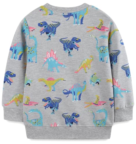Image of Hongshilian Unisex Kids Cute Cartoon Cotton Sweater Shirt