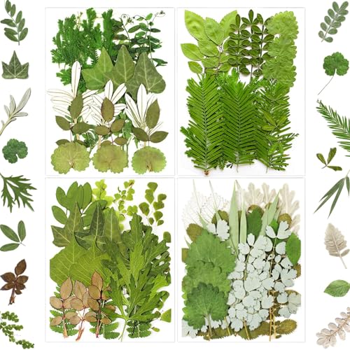 MIKIYA 84Pcs Pressed Dried Leaves for Resin Molds Assorted Real Natural Bulk Dry Flowers for DIY Art Crafts Epoxy Jewelry Candle Soap Making Nails Decors Gifts