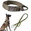 Green SET(collar+leash)