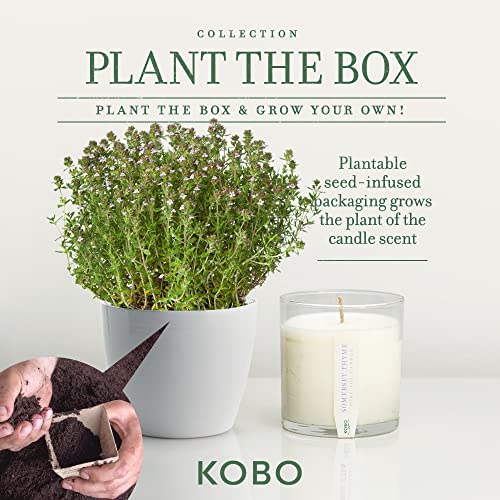 Kobo Somerset Thyme Candle With Plantable Box (9 Oz) | Plant The Box Collection, 100% Pure Soy Wax Candles | Hand-Poured In Usa | Long Lasting 60 Hour Burning Candles | Scented Candles For Home #TOP2