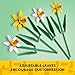 LEGO Daffodils - Building Toy for Kids, Girls and Boys, Ages 8+ - Birthday Gift for Kids - Artificial Daffodil for Bedroom Decor and Display - 40747