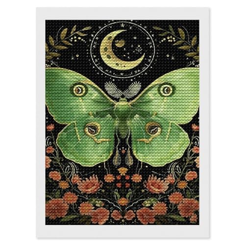 Kit de peinture diamant lune verte broderie diamant adulte decoration murale moderne