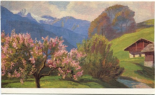 1940/50 - Dipinto paesaggio di montagna, case e monti - FP COL Cartolina Postale