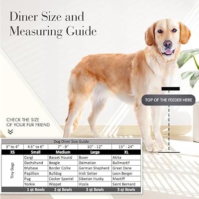 Baron Single Bowl Dog Feeder - Elevated Diner - 10 Tall