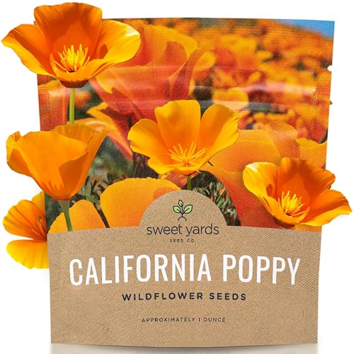 California Orange Poppy Wildflower Seeds - Bulk 1 Ounce Packet - Over 20 000 Native Seeds - California State Flower!