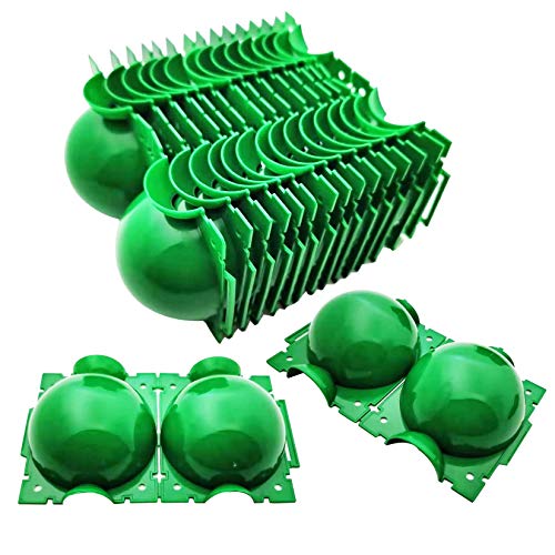 Markeny Reusable Plant Rooting Ball, Plant Propagation Root Ball Effective Invisible Propagation(Green, 15PCS)
