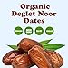 Food to Live Organic Deglet Noor Dates, 2 Pounds – Pitted, Non-GMO, Soft & Juicy, Unsulfured, Raw, Dried Fruit, No Sugar Added, Vegan, Kosher, Paleo, Sirtfood, Bulk, Good Source of Dietary Fiber.