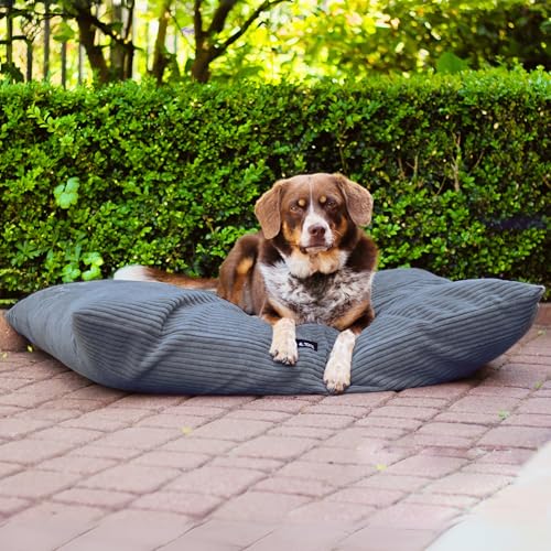 4L Textil Molly Hundekissen flauschig Cord Hundebett Grosse Hunde mit Bezug und Reißverschluss kuscheliges Hundekissen waschbar (100x80 cm, Graphit(Stripes))