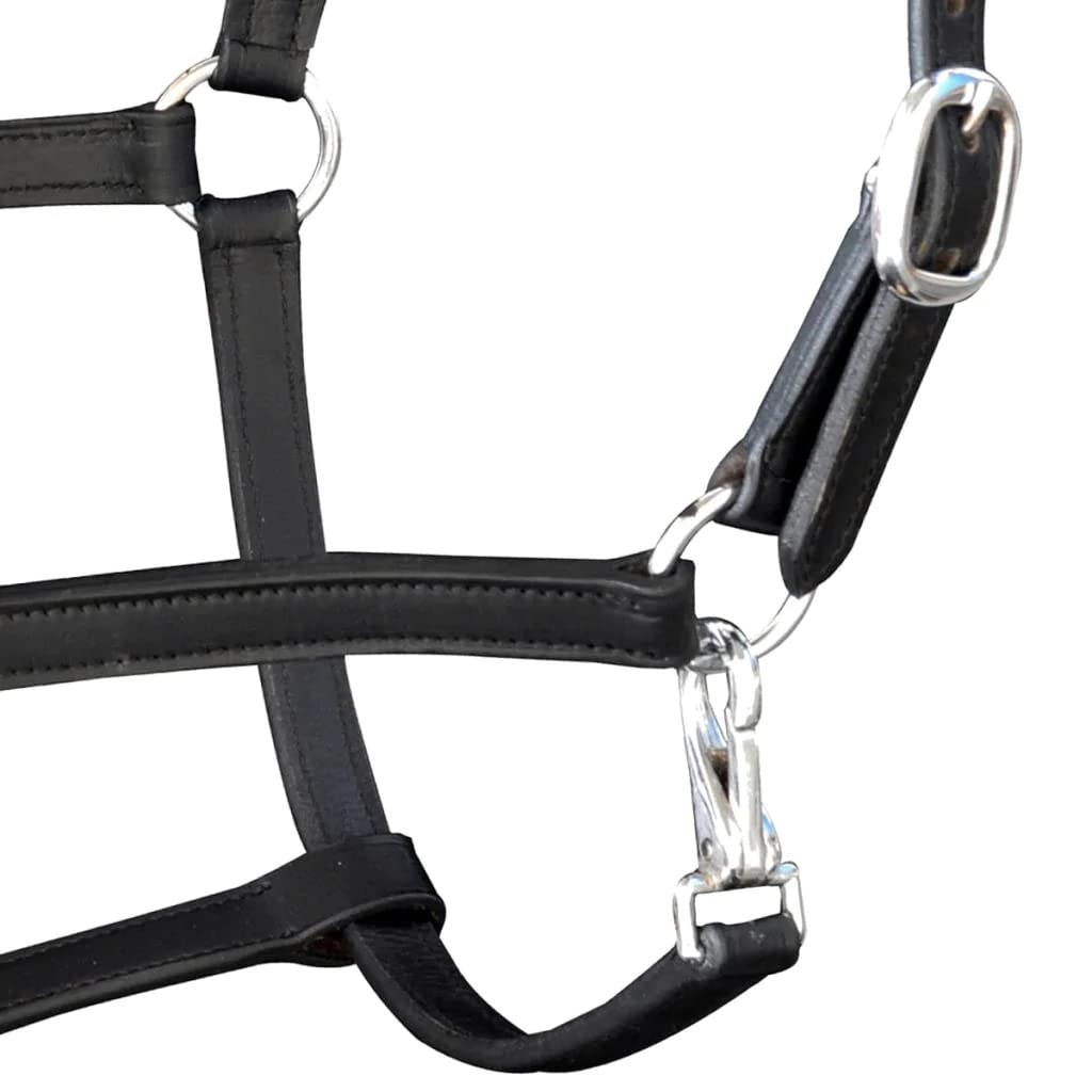Collier Anti Tiqueur Alu Avec Sangle En Cuir Premiere