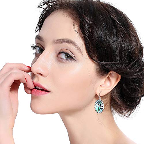 Abalone Drop Dragonfly Earrings Plated with White Gold, Fashionable Natural Shell Dangle Earring for Women3