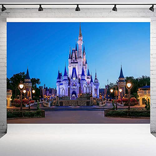 Kids Cartoon Theme Park Backdrop For Party Photography Sky Blue Classic Cartoon Playground Background Kids Party Decoration Banner Meetsioy 7X5Ft Zymt0937 #TOP3