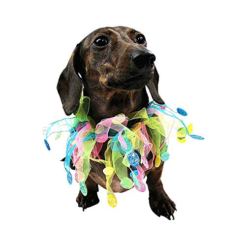 Midlee Easter Egg Decorative Dog Collar (Small) #TOP4