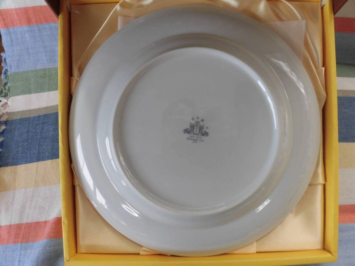 Amazon | SKE48オリジナルカレー皿 Bタイプ CoCo壱番屋当選品3rd