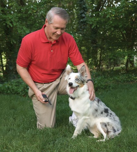 yard and park trainer