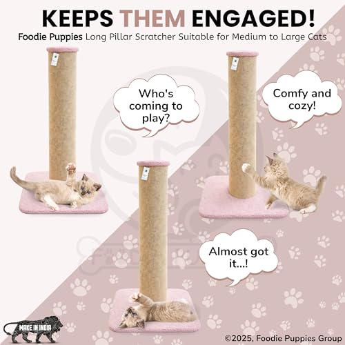 Image of Foodie Puppies Cat Scratching Post with Stable Base (78 cm, Long Pillar) | Durable Cardboard Paper Scratch Pole for Cats & Kittens | Indoor Cat Scratcher for Furniture Protection | Easy to Assemble