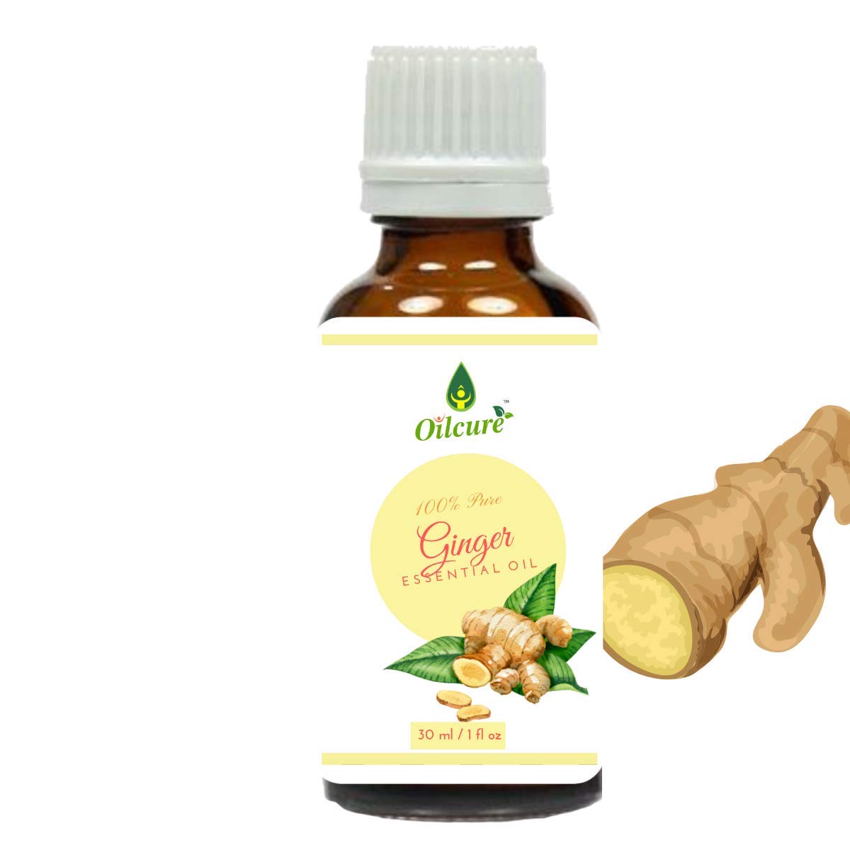Ginger Essential Oil | 30 ml | Pure | Undiluted