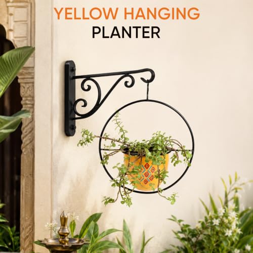 Image of AAKRITI ART CREATIONS Metal Hanging Planter | Handpainted Planter, Modern Art, Yellow Glossy Finish | Outdoor & Indoor Home Decor Items | Room Decoration Artifacts, Flower Pots for Living Room