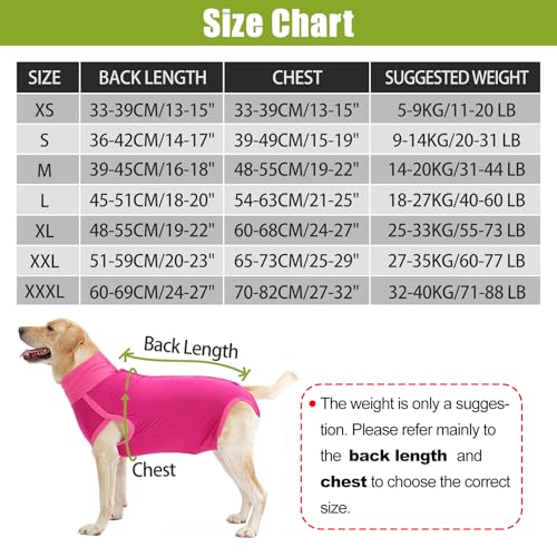 HEYWEAN Hund Operationsbody - Medizinischer Body für Hunde Kastrationsbody Wundschutzanzug Hund