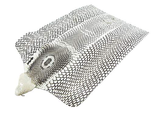 Genuine Cobra Snake Skin with Head Leather Women's Trifold Clutch Wallet Purse Natural2
