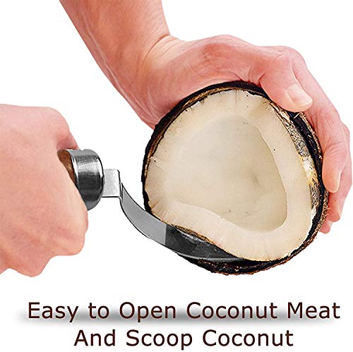Conjunto de ferramentas de abridor de coco, 2 peças, removedor de carne de coco de aço inoxidável, f