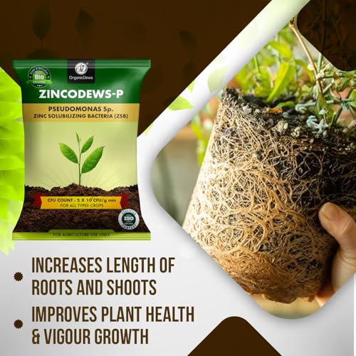 Image of OrganicDews Zinc Solublizing Bacteria Bio Fertilizer 250 g (5x10^7 CFU /g) for Plants - Soil Fertility, Faster Plant Growth and Increases the Yield 250 g