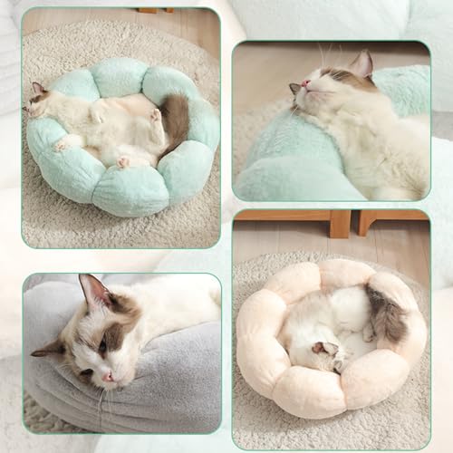 DOTBUY-SHOP Hundebet Rundes Katzenbett, Blumen Hundekissen Grosse Hunde Donut Kissen, Plüsch-Hundekorb Hundebett Waschbar, für Groß Hunde, Katzen und Herbst und Winter (40 cm,Türkis)