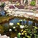 Seerosen Künstlich5 STK Künstliche Lotusblume Schwimmende Teichdekoration Seerose Ornament für Gartenterrasse Pool Aquarium Dekoration (Weiß)
