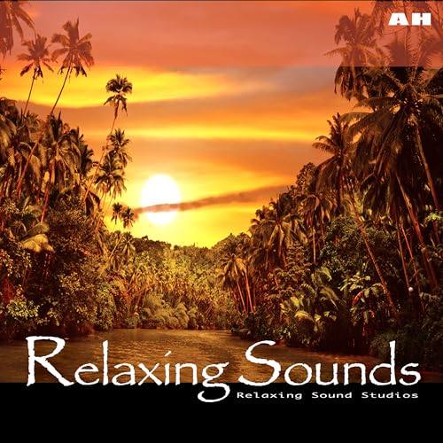 Relaxing Sounds Studios