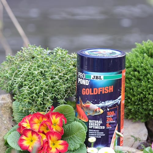 JBL PROPOND Goldfish 0,16kg (1 L) | Ganzjahresfutter Perlen für Goldfische & Schleierschwänze | Fördert Gesundheit & kräftige Farben | Artgerechte Ernährung | Schwimmend | ab 10 °C