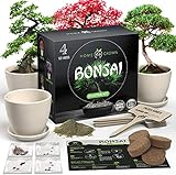 HOME GROWN Bonsai Tree Kit. Bonsai Tree Starter Kit with 4 Seeds Types, incl. Purple Bonsai Tree! Indoor Growing Plant Gifts for Moms Who Have Everything, Seed Starter Kit for Kids, DIY Adult Crafts…