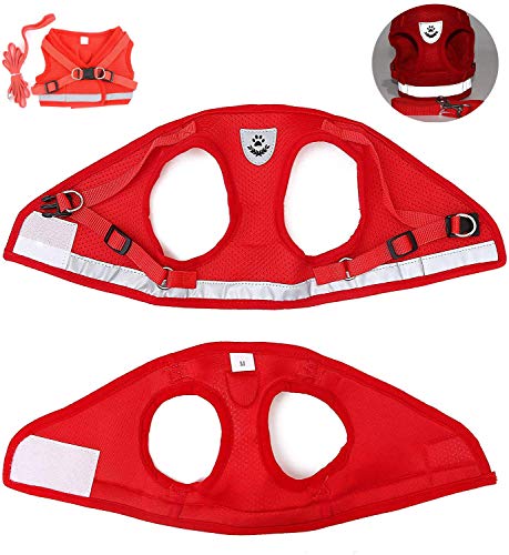 Image of FEimaX Dog Harness and Leash Set for Walking, Soft Mesh Adjustable Easy Control Lightweight Cat Vest Harnesses with Reflective Strips, Escape Proof Small Dogs Cats Vests (Red, Large)